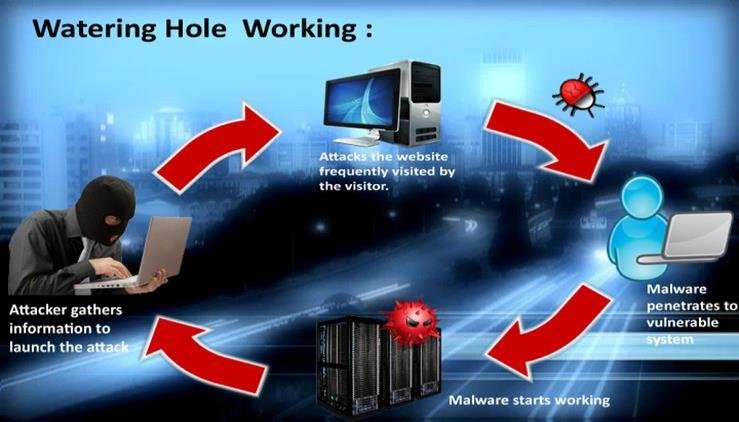 How do watering Hole Attacks Work?